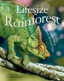 Lifesize: Rainforest: See Rainforest Creatures at Their Actual Size