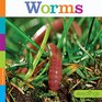 Worms Seedlings