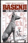 Basenji: Dog from the Past