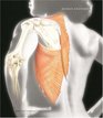 Human Anatomy with Clinical Issues in Anatomy plus Access to the Anatomy  Physiology Place Companion Wedsite and Anatomy360 CDROM