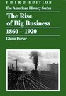 The Rise of Big Business 18601920