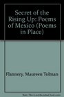 Secret of the Rising Up Poems of Mexico