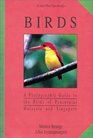 Birds A Photographic Guide to the Birds of Peninsular Malaysia and Singapore