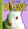 FoldOut Board Books Bunny