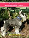 How to Groom a Miniature Schnauzer Perfectly: A Step By Step Instruction Guide for Beginners