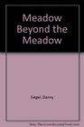 The Meadow Beyond the Meadow Poems by Danny Siegel