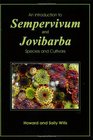 An Introduction to Sempervivum and Jovibarba Species and Cultivars