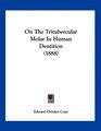 On The Tritubercular Molar In Human Dentition