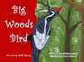 Big Woods Bird An Ivorybill Story