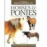The Complete Encyclopedia of Horses  Ponies
