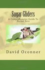 Sugar Gliders A Comprehensive Guide To Pocket Pets