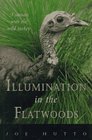 Illumination in the Flatwoods: A Season with the Wild Turkey