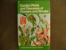 Garden Pests and Diseases of Flowers and Shrubs