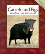 Camels and Pigs What They Have in Common