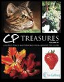 CP Treasures Volume III Colored Pencil Masterworks from Around the Globe