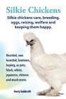 .   Silkie Chickens. Silkie chickens care, breeding,eggs,raising, welfare and keeping them happy,bearded, non bearded, bantoms,buying ,as pets,black,white,japanese,chinese and much more.