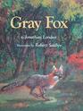 Gray Fox