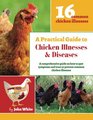 A Practical Guide to Chicken Illnesses  Diseases