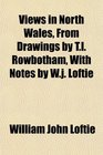 Views in North Wales From Drawings by Tl Rowbotham With Notes by Wj Loftie