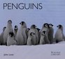 Penguins  1997 publication