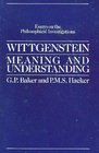 Wittgenstein Meaning and Understanding