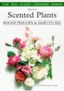 The Best Scented Plants