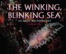 Winking Blinking SeaAll About