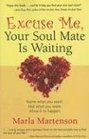 Excuse Me Your Soul Mate Is Waiting