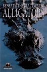 Alligators Beneath the Blackwater