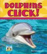 Dolphins Click