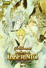 Regreso al laberinto 2/ Return to Labyrinth 2