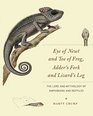 Eye of Newt and Toe of Frog Adder's Fork and Lizard's Leg The Lore and Mythology of Amphibians and Reptiles