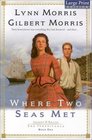 Where Two Seas Met (Cheney and Shiloh: The Inheritance, Bk 1) (Large Print)