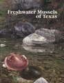 Freshwater Mussels of Texas