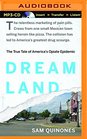 Dreamland The True Tale of America's Opiate Epidemic