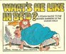 What's He Like in Bed  A Rough Guide to the Bedside Manners of the Human Male
