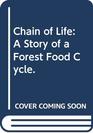 Chain of Life A Story of a Forest Food Cycle