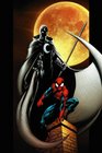 Ultimate SpiderMan Vol 14 Warriors
