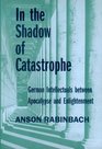 In the Shadow of Catastrophe German Intellectuals Between Apocalypse and Enlightenment