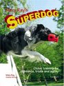 Mary Ray's Superdog