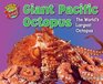 Giant Pacific Octopus The World's Largest Octopus