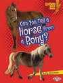 Can You Tell a Horse from a Pony