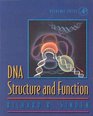 DNA Structure and Function