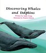 Discovering Whales  Dolphins
