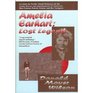 Amelia Earhart Lost Legend