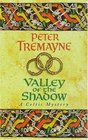 Valley of the Shadow (Sister Fidelma, Bk 6)