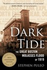 Dark Tide The Great Boston Molasses Flood of 1919