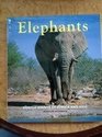Elephants Gentle Giants of Africa  Asia
