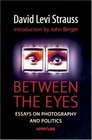 Between the Eyes Essays on Photography