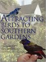 Attracting Birds to Southern Gardens